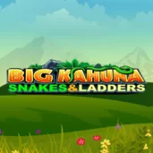 Big Kahuna - Snakes and Ladders logo