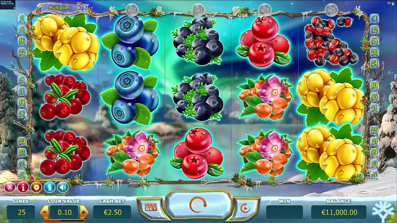 winterberries slot