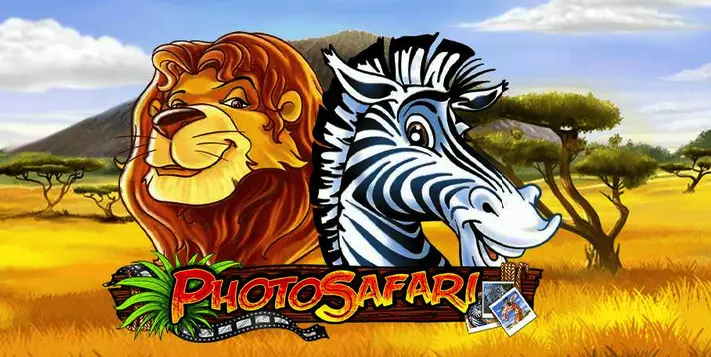 photo safari