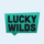 Lucky Wilds Casino image