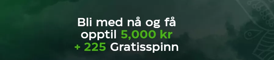 jeetcity casino norge bonus