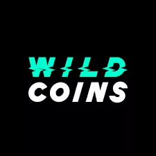 Wildcoins Casino review image