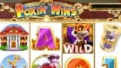 Foxin Wins logo