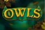 Owls logo