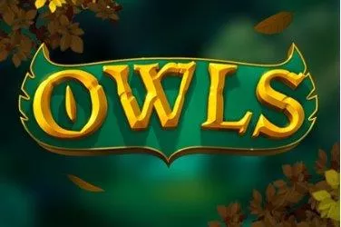 Owls
