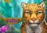 Rainforest Magic logo