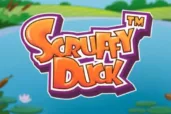 Scruffy Duck logo
