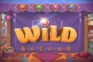 Wild Bazaar logo