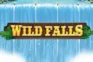 Wild Falls logo