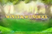 winter wonders logo