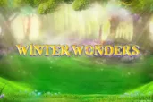 Winter Wonders logo