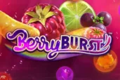Berryburst logo