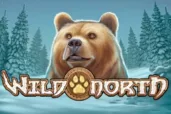 Wild North logo