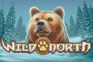 Wild North logo