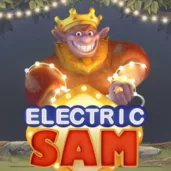 Electric Sam logo