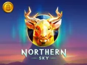 Northern Sky logo