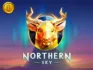 Northern Sky logo