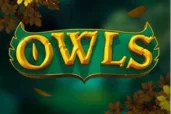 Owls logo