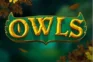 Owls logo