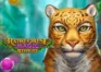 Rainforest Magic logo