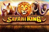Safari King logo