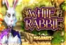 White Rabbit logo