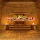 Book of Dead logo