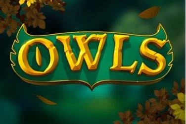 Owls