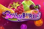 Berryburst logo