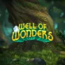 Well of Wonders logo Well of Wonders logo