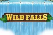 Wild Falls logo