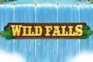 Wild Falls logo