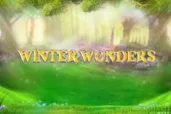 Winter Wonders logo