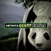 Untamed Giant Panda logo