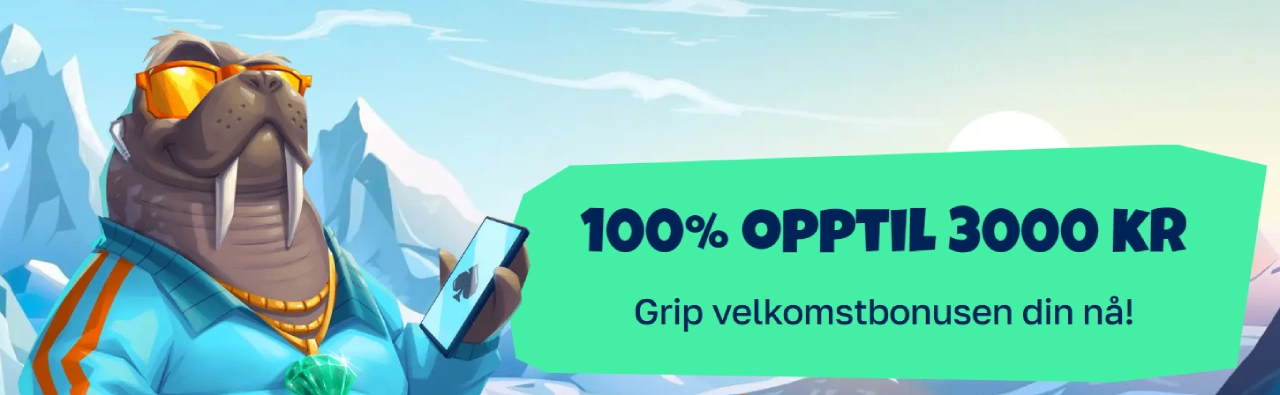 arctic casino norge bonus