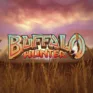 Buffalo Hunter logo