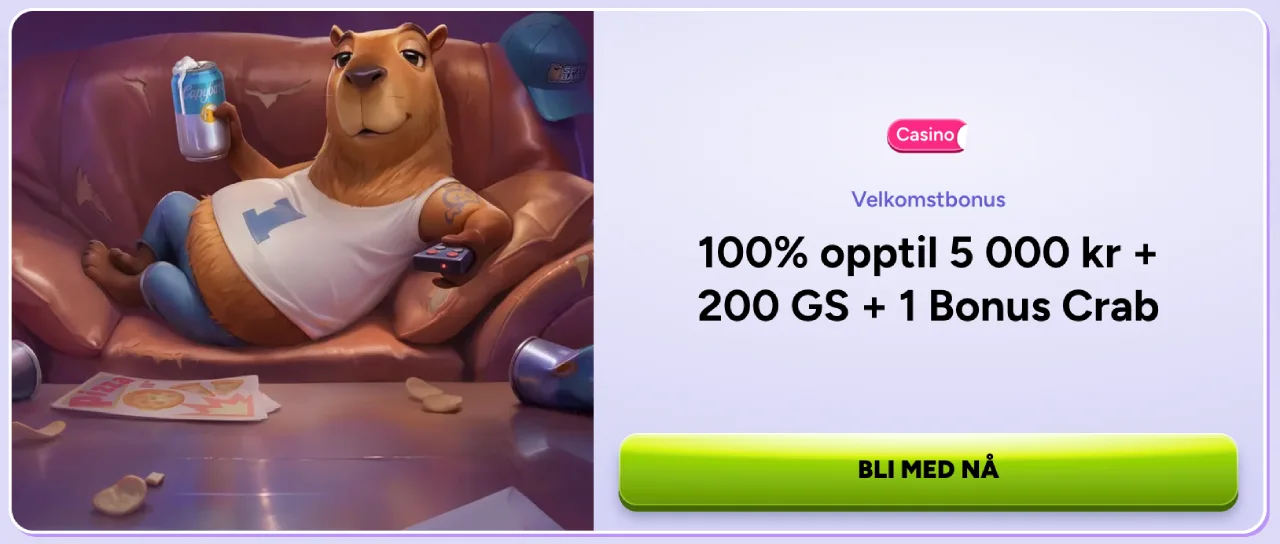 spinbara casino norge bonus