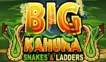 Big Kahuna Snakes and Ladders