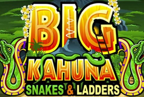 Big Kahuna Snakes and Ladders