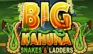 Big Kahuna - Snakes and Ladders logo