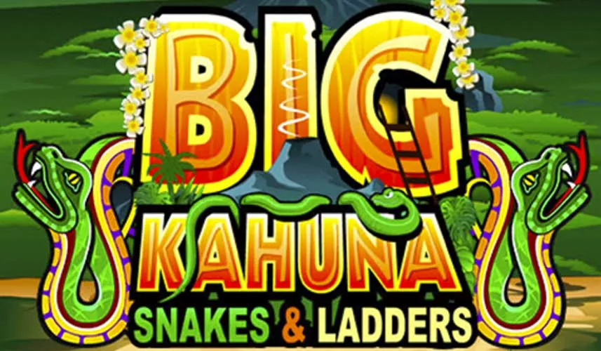 Big Kahuna - Snakes and Ladders review image
