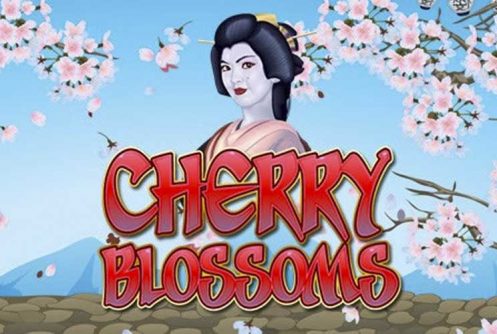 Cherry Blossoms automat