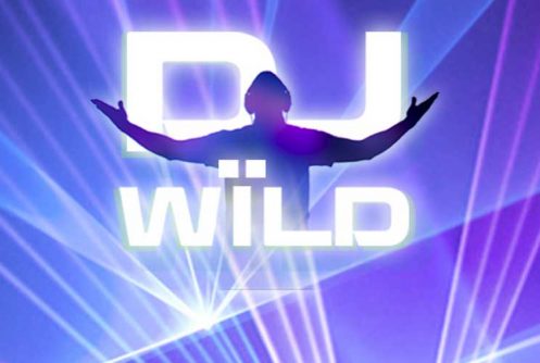 DJ Wild online slot spilleautomat