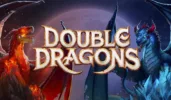 Double Dragons logo