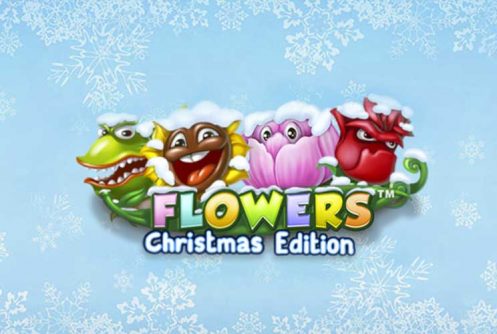 Flowers Christmas Edition automat