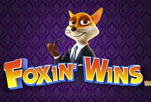 Foxin Wins automat