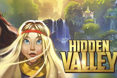 hidden valley automat