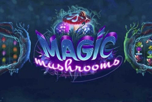 Magic Mushrooms automat