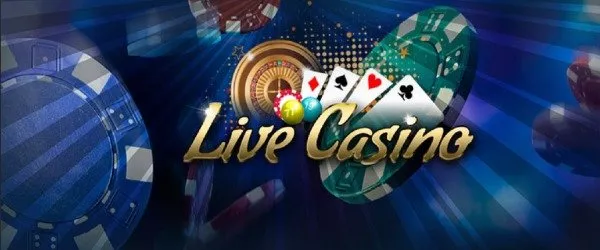 Melbet casino live casino
