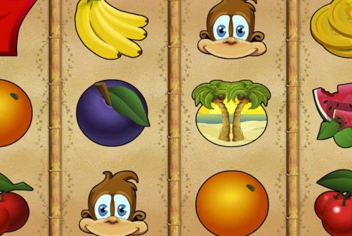 Monkey Money automat
